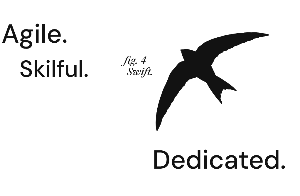 Agile. Skilful. Dedicated.